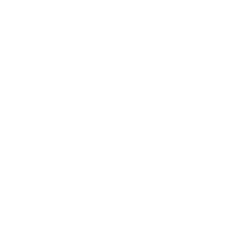 Quit Icon